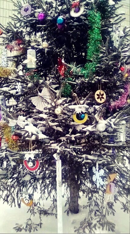 Вот такой нарядной была наша красавица в прошлом году. В этом пока не фотографировали