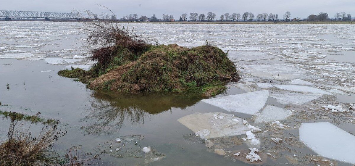Фото: поисково-спасательный отряд МЧС России по Калининградской области