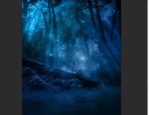 Взято из свободных источников.