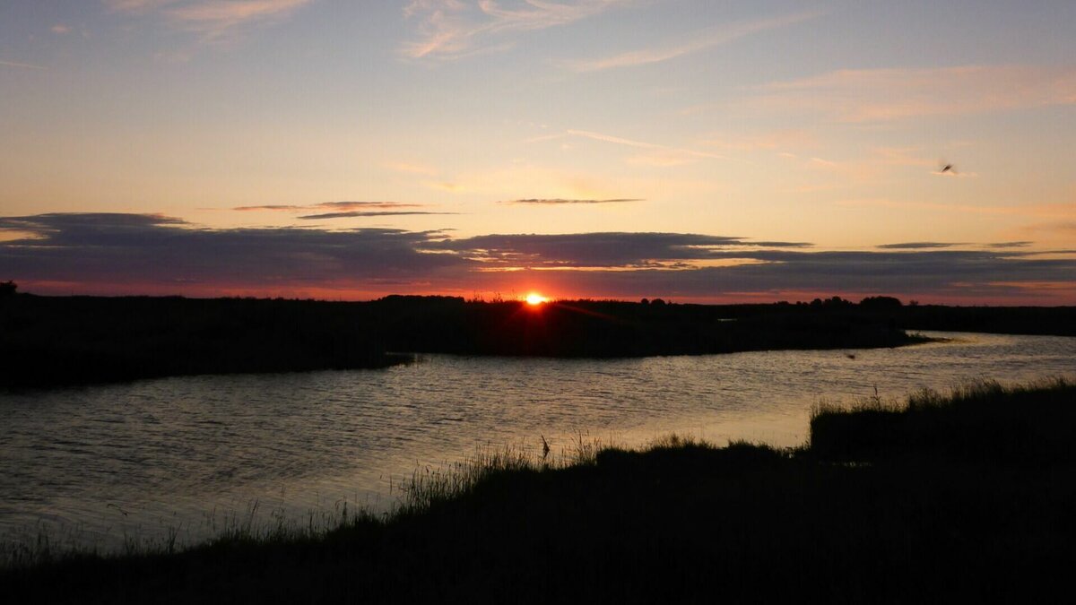     В Татарстане с 1968 года с карты исчезло 3,1 тысячи водных объектов. Причины, по которым это произошло, в разговоре с корреспондентом Inkazan назвала заведующая кафедрой природообустройства и водопользования КФУ Нафиса Мингазова.