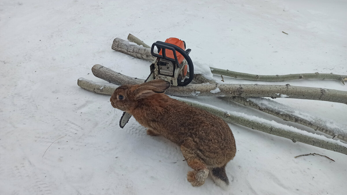 "Вид с натуры"