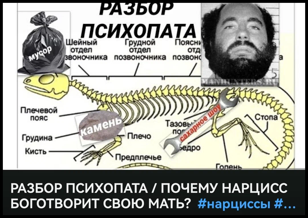 ОПАСНОСТЬ: НАРЦИССЫ. ПРОТИВОСТОЯНИЕ ВАМПИРАМ! | SOULMIND by Veronika Magic  | Дзен