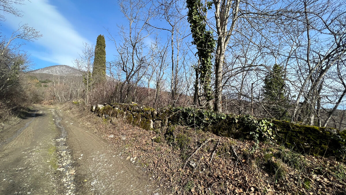 Почти 200 лет назад это был эквивалент нынешнего Южнобережного  шоссе, по которому уже более 50-ти лет со времён СССР проезжает или ходит  каждый посетитель и житель Южного берега Крыма. Сейчас же бывшая  главная Крымская магистраль - весьма ухабистая и вязкая грунтовка, где ходить лучше в сапогах, а ездить - только на УАЗике. И это в 20 метрах от «цивилизации», от того самого современного Южнобережного шоссе. 