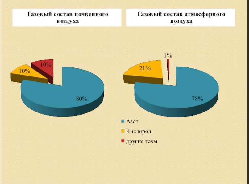 Почвенный воздух содержит больше. Состав воздуха в почве. Почвенный воздух его состав. Таблицу «состав почвенного и атмосферного воздуха». Состав атмосферного и почвенного воздуха