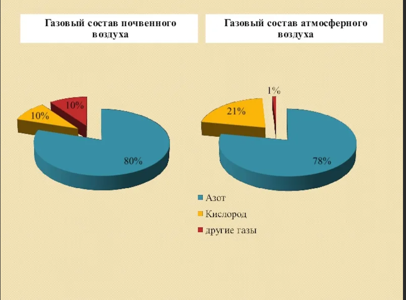 Воздушная почва. Состав воздуха в почве. Состав атмосферного и почвенного воздуха. Газовый состав почвенного воздуха. Газовый состав почвы.