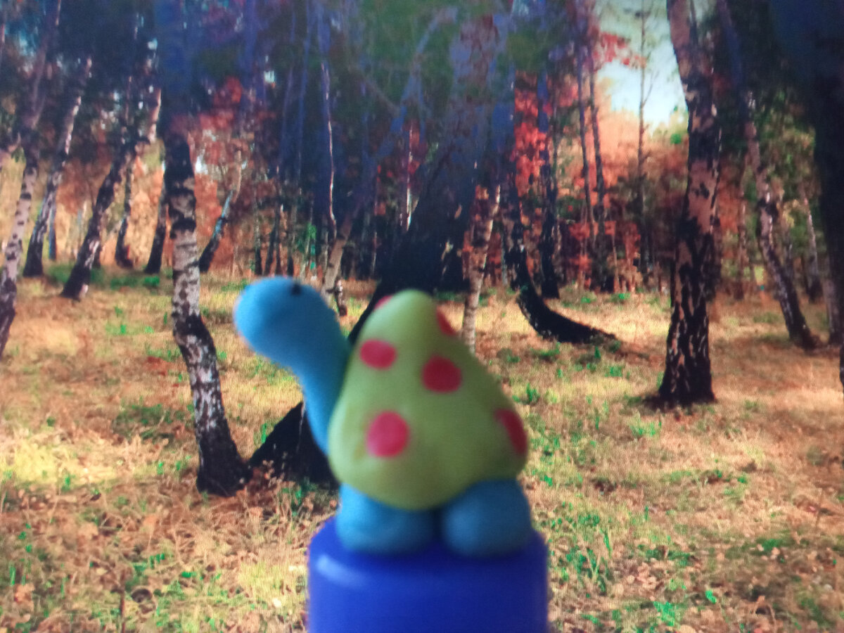 Маленькая черепашка, которую сделала мне в подарок ученица.