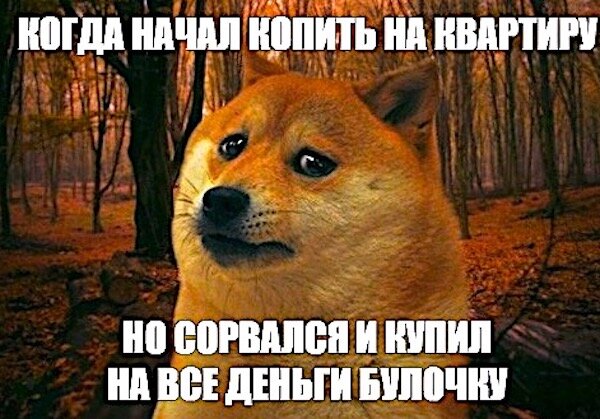 Яндекс. Картинки