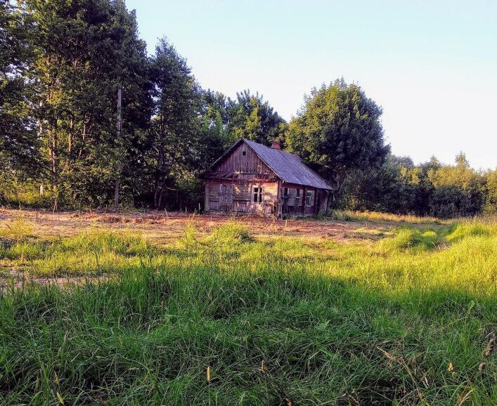 Фото из открытых источников