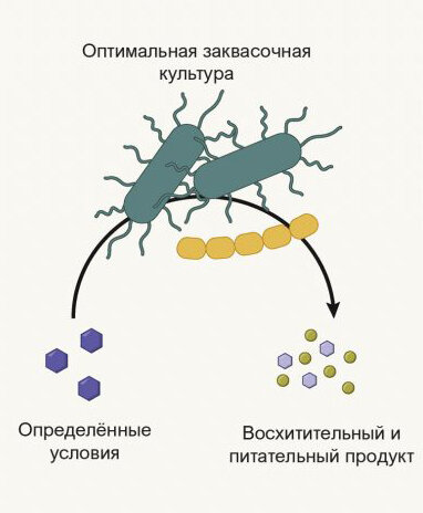 Сборник удельных показателей образования отходов производства и потребления