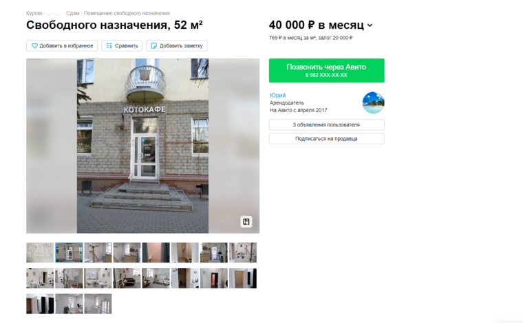    Владельцы единственного в Кургане котокафе ищут новое помещение