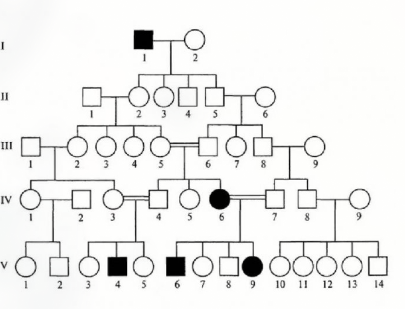 Родословные генетика схемы. Генеалогическое Древо семьи генетика. Схема родословной биология генетика. Родословные генетика Тип наследования.