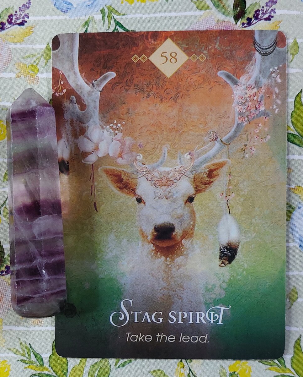 Колода: "The Spirit Animal Oracle" by Colette Baron-Reid