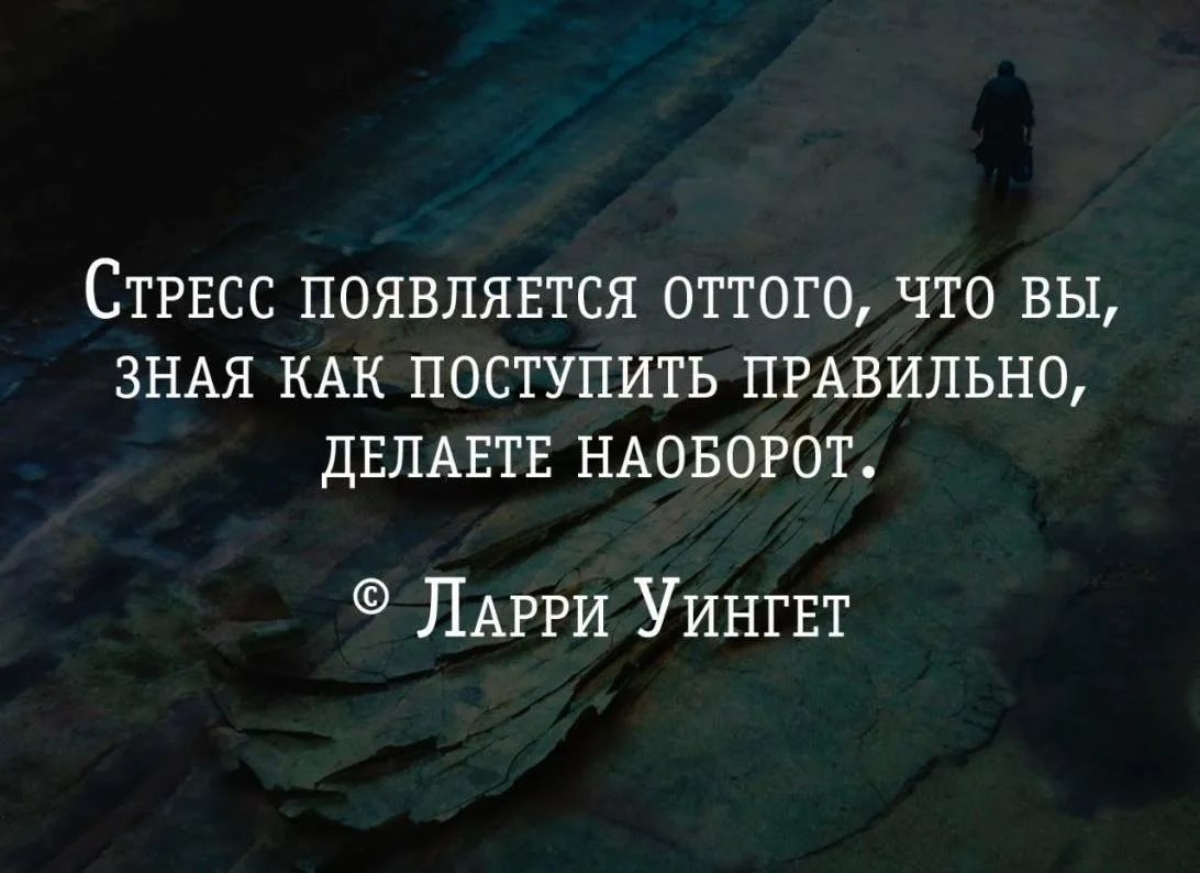 С тем что вам. Цитаты про стресс. Цитаты о стрессоустойчивости. Афоризмы про стресс. Цитаты про стрессоустойчивость.
