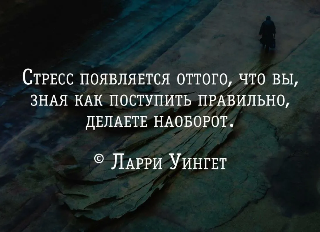 С тем то что. Цитаты про стресс. Цитаты о стрессоустойчивости. Афоризмы про стресс. Цитаты про стрессоустойчивость.