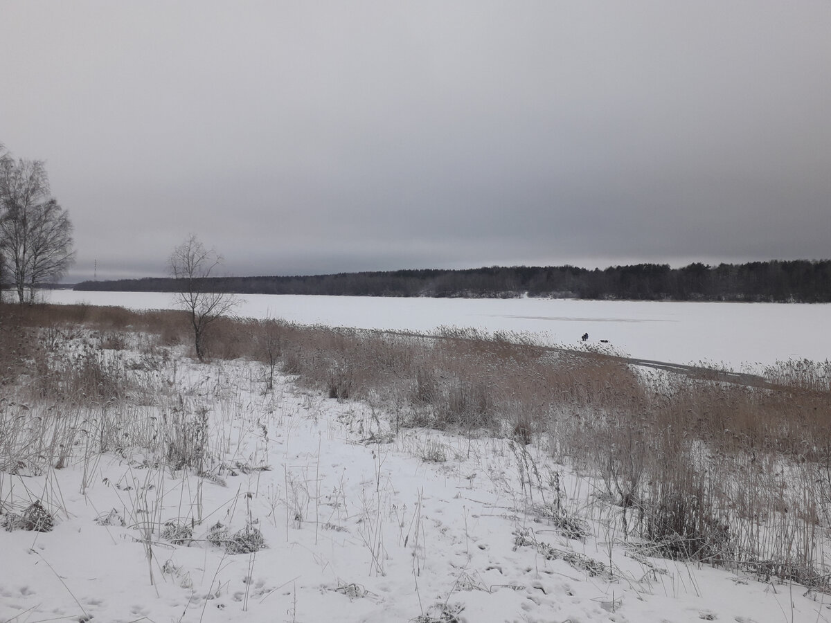 22 января 2023 10:23 Нева в городе Кировск