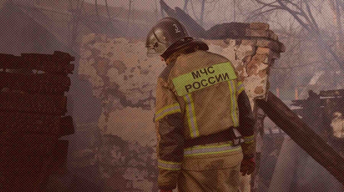    Фото: РИА Новости / Евгений Епанчинцев