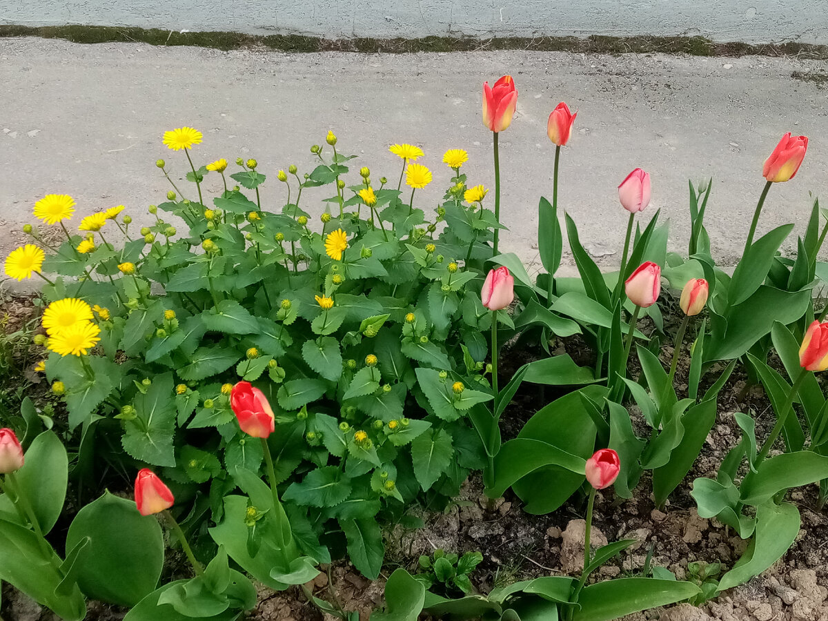 Ранняя весна 