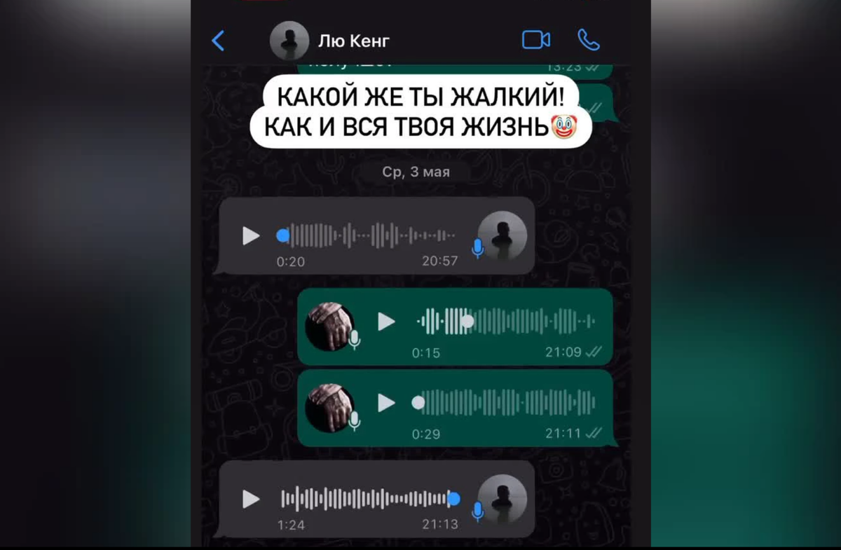 Голосовое от Гуфа 