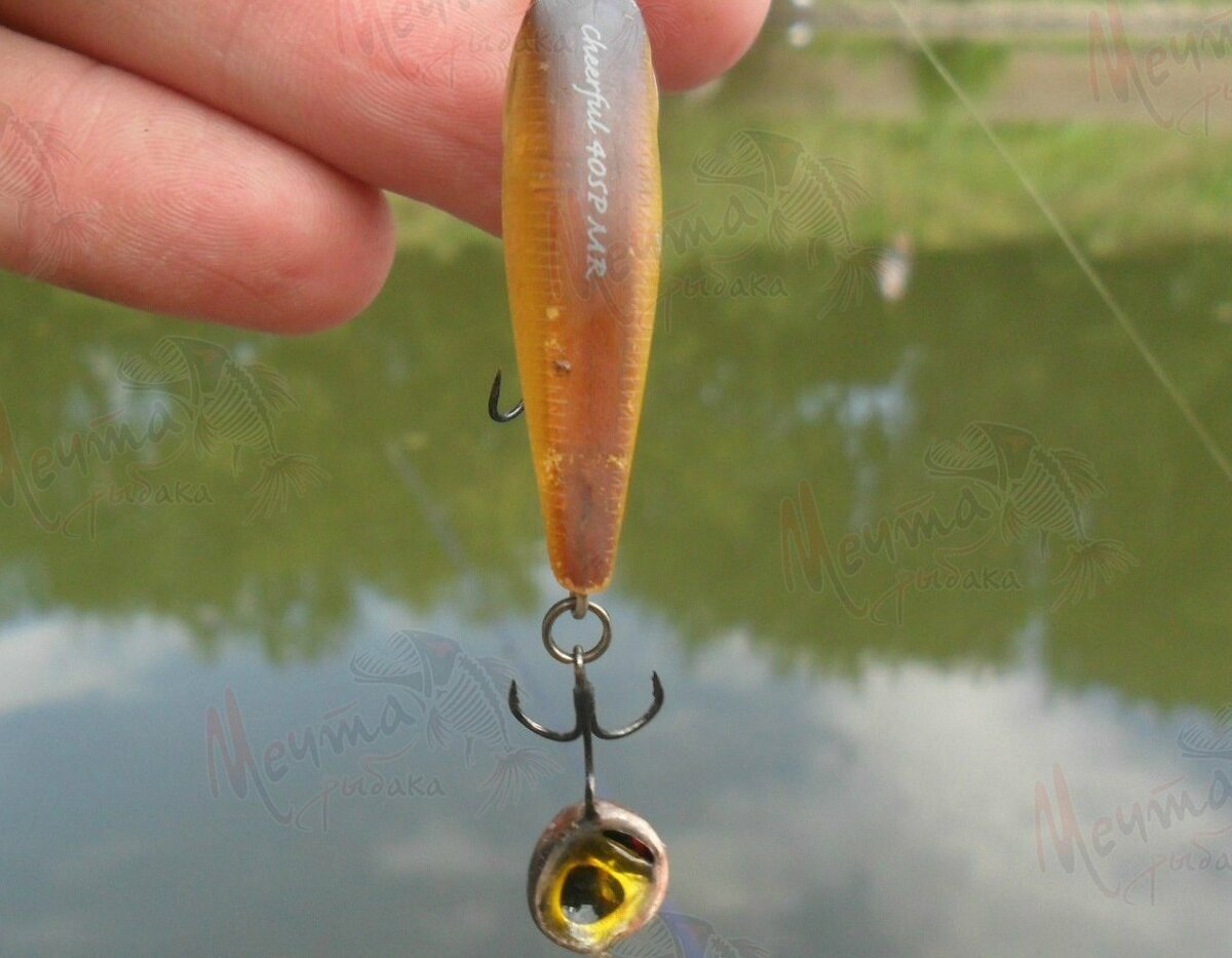 Незамысловатая конструкция помогает ловить хищников.