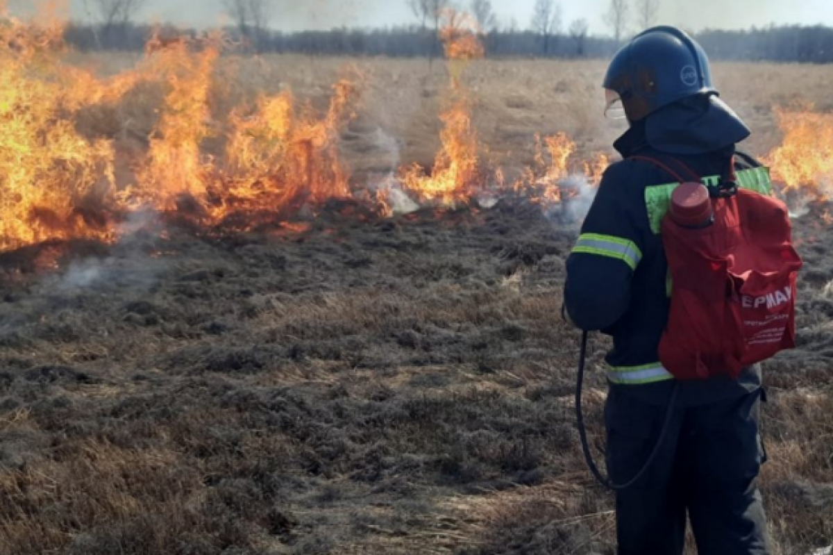    В лесах Хабаровского края тушат четыре грозовых пожара