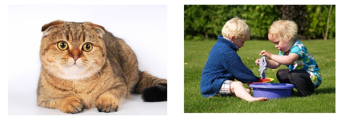 Исходные фотографии для теста.