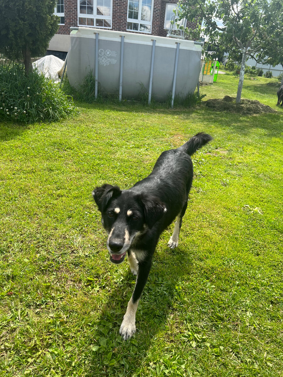 Всем привет! Я Клепа) Приезжайте познакомиться со мной!