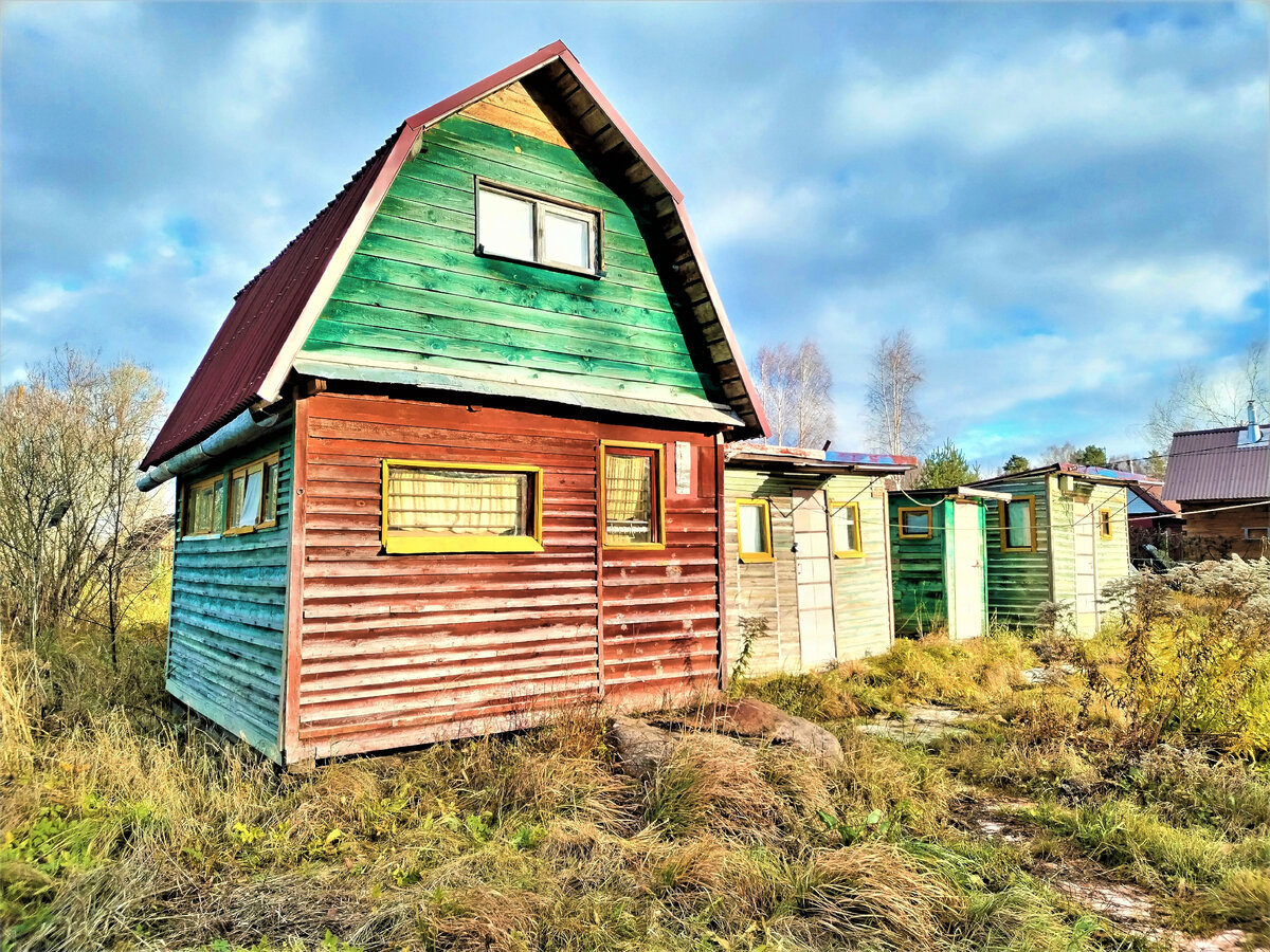 "Курятник"