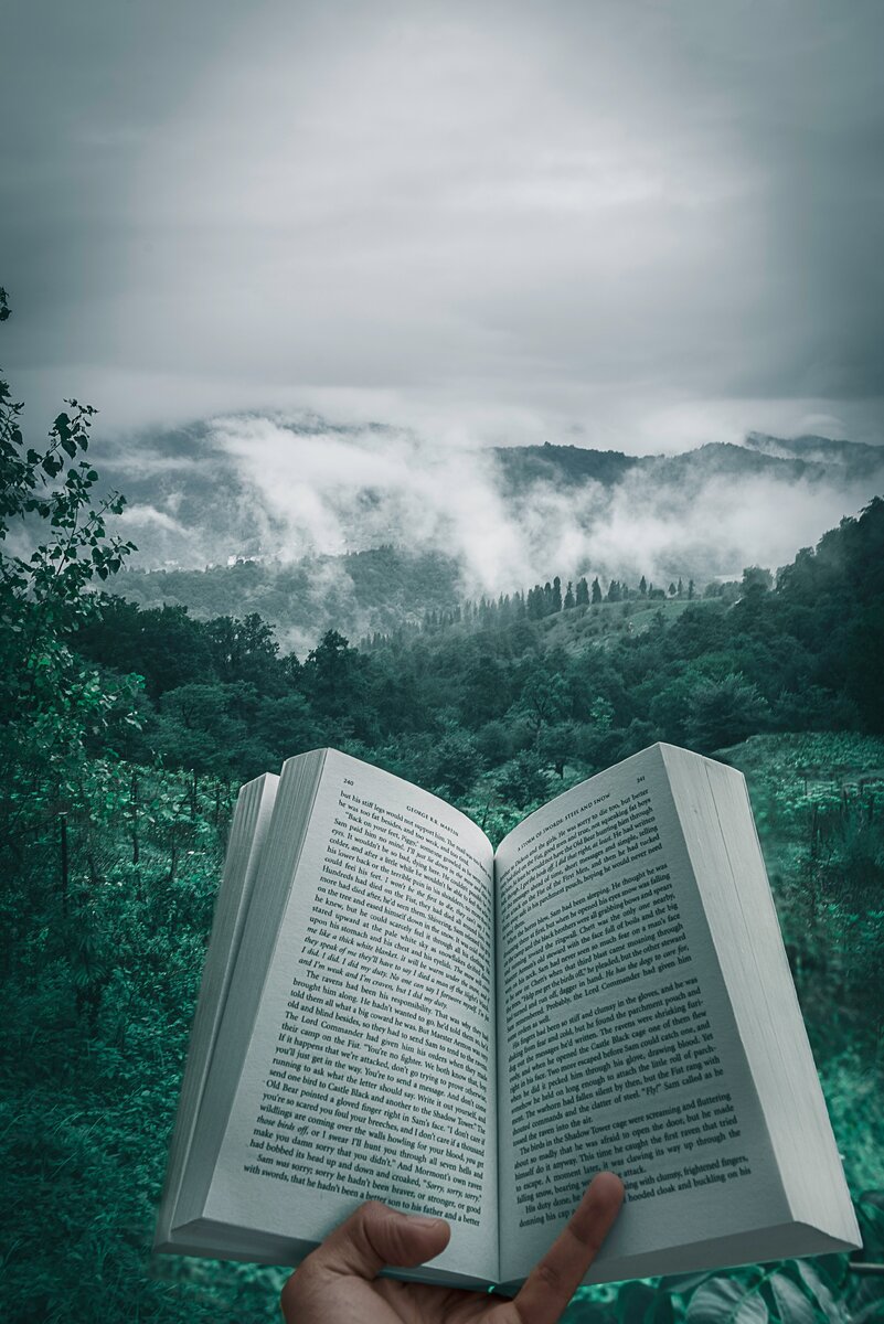 источник фото – unsplash com
