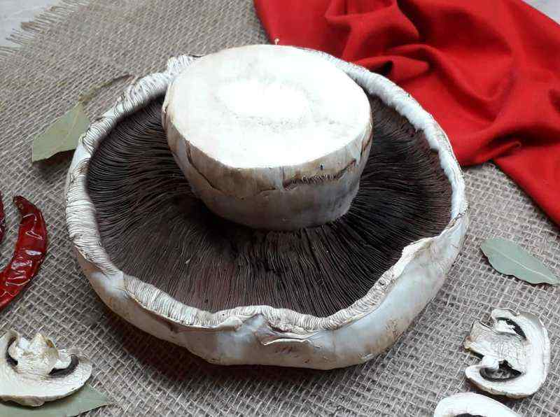 Шампиньон весом более 1кг вырастили в Иркутске