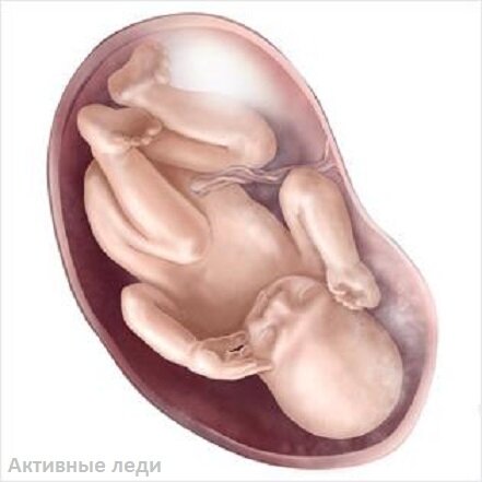 гугл картинки