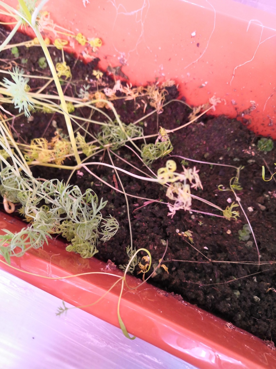 Мой результат