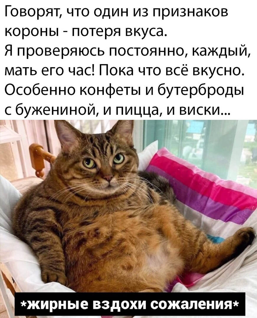 😂🤣