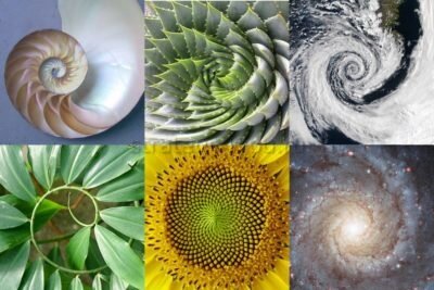 Коррекционные уровни Фибоначчи в трейдинге выглядят так: 0.236, 0.382, 0.500, 0.618, 0.764.