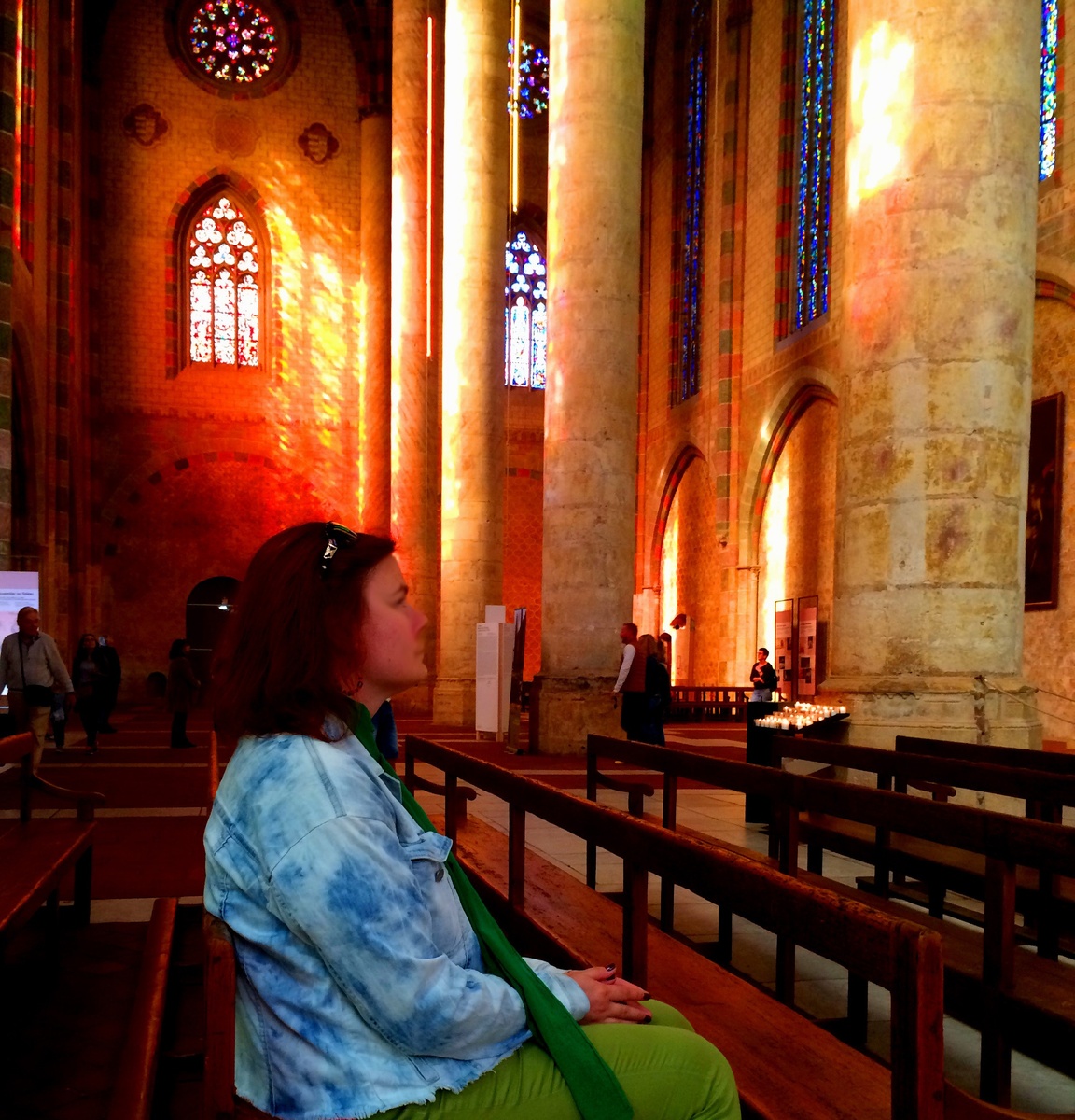 Франция. Тулуза. Католический костел.