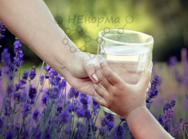 Подписывайтесь на канал, ставьте лайки - это поможет развитию канала!