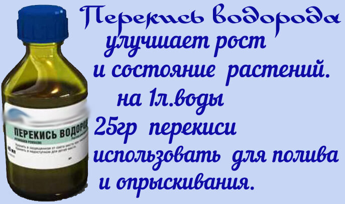 Подкормка огурцов перекисью. Йод с аспирином от косточек на ногах. Подкормка цветов перекисью водорода в домашних условиях пропорции.