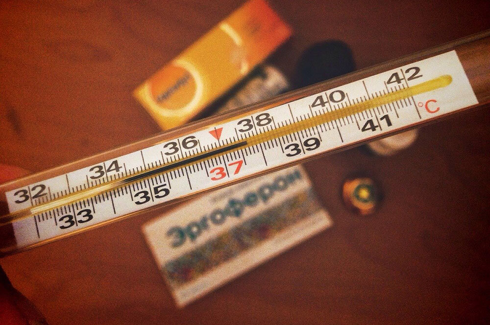 Фото: pixabay.com