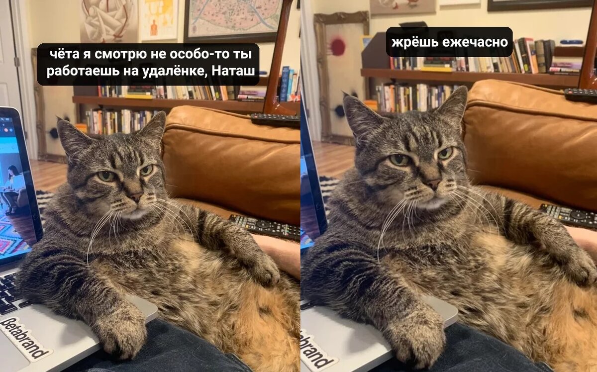 картинка с яндекса