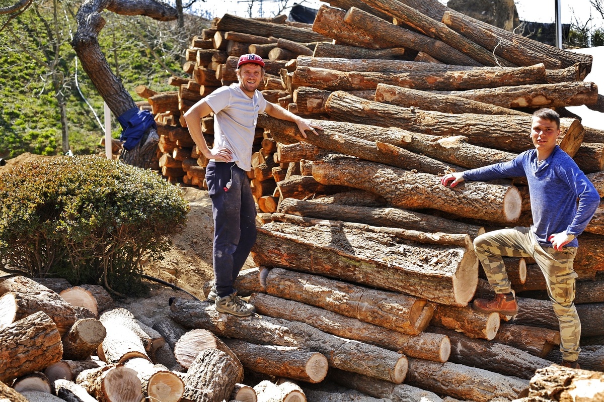 Работа Южная Корея