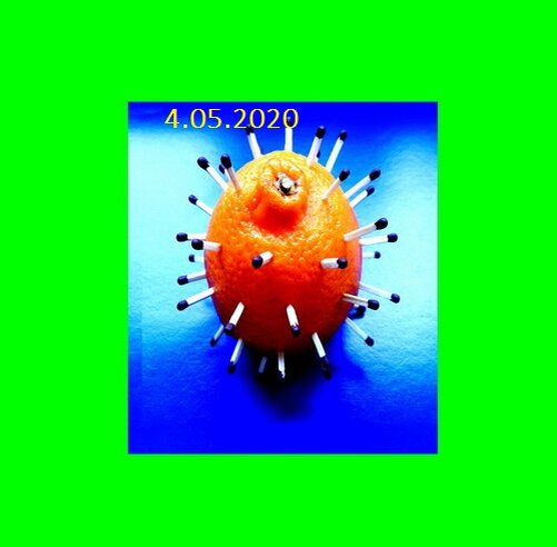 Фото автора. 4 мая.