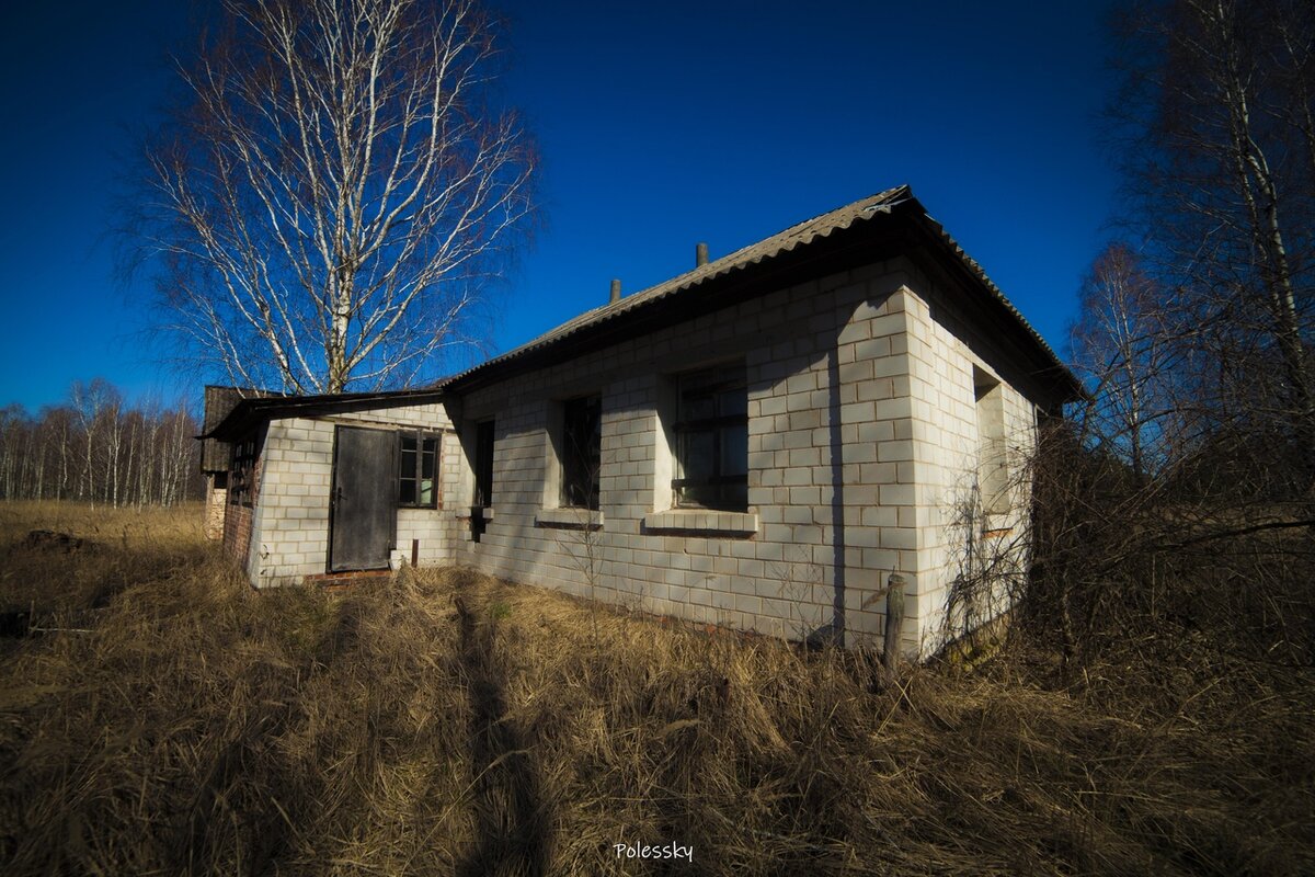 Путешествие в Чернобыльское село: заброшенные дома без замков. Фото