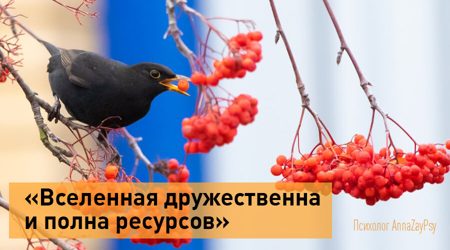 Картинка из открытых источников