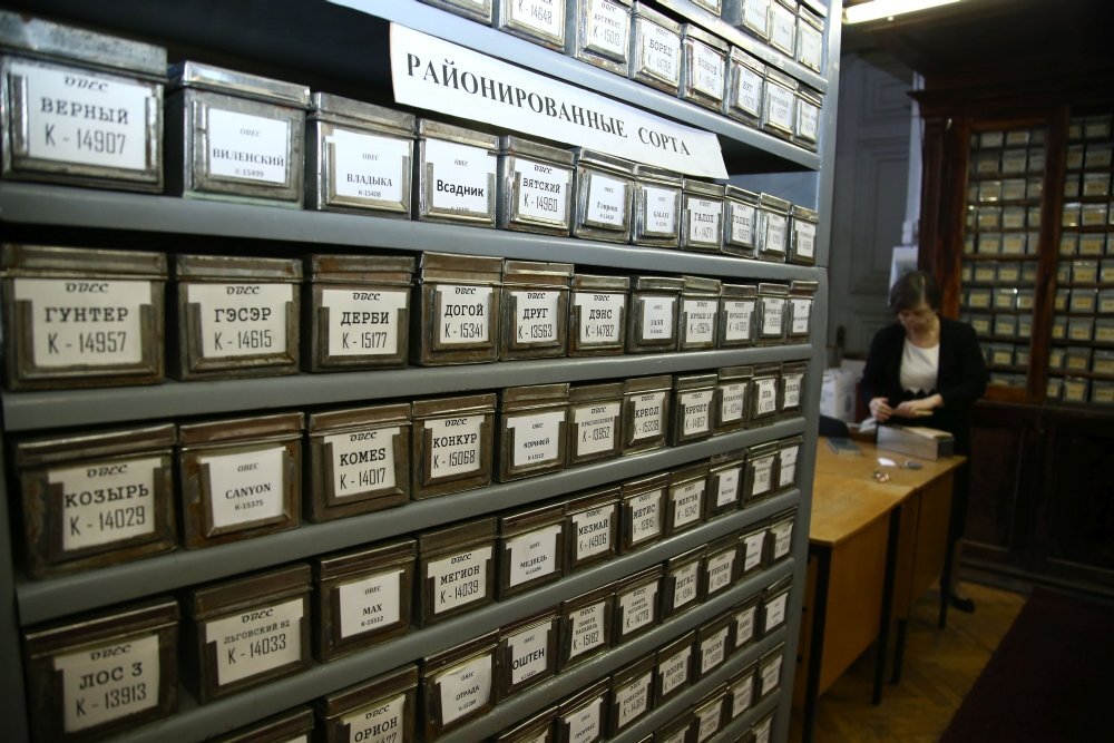 Фото: Наталья Онищенко