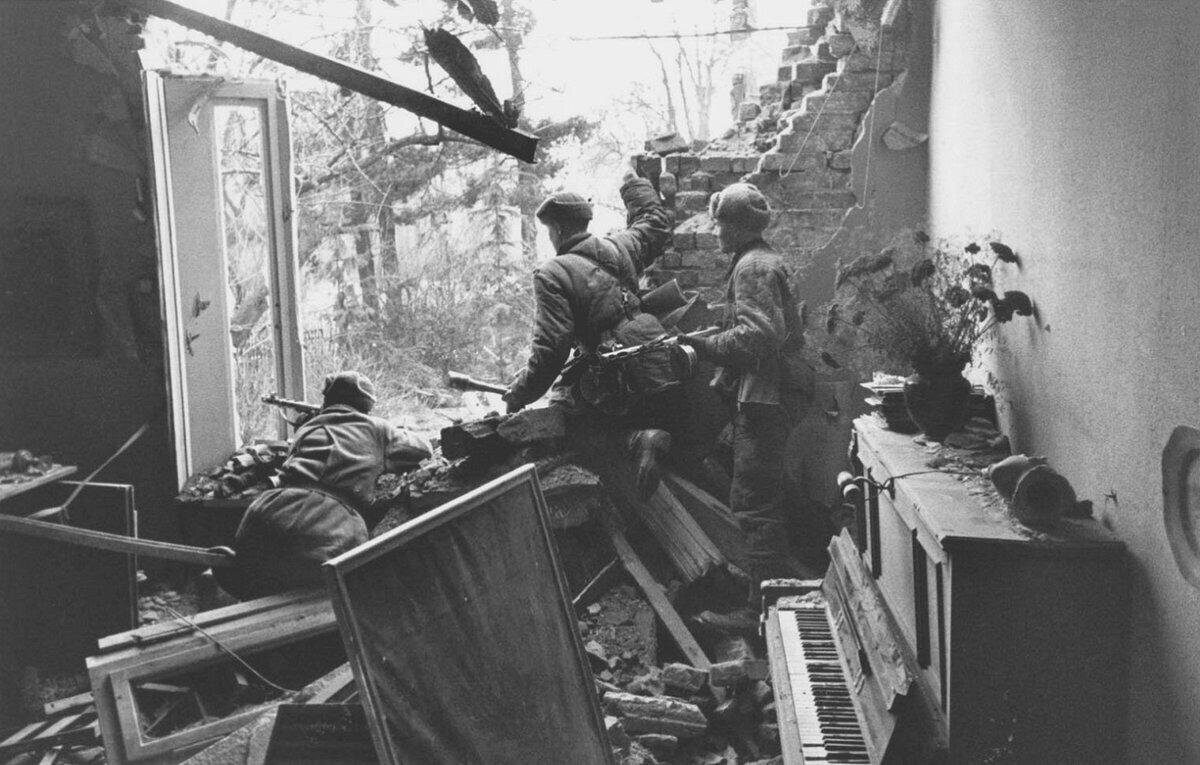 фото из открытых источников 