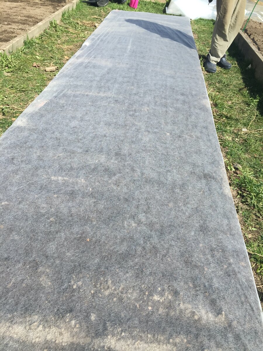 Фото: Гринвилсон