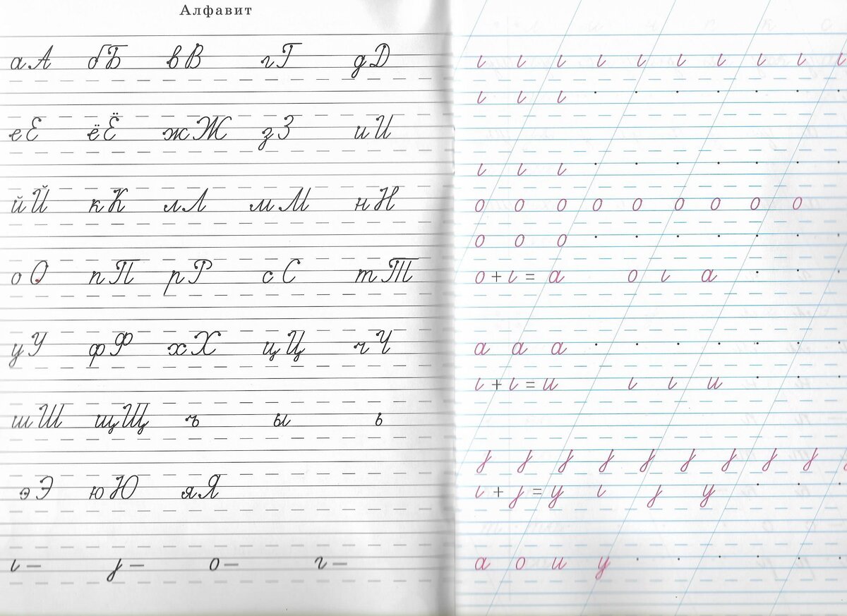 В АЛФАВИТЕ мы будем искать, обводить и считать элементы букв:  "крючки, овалы и петельки"