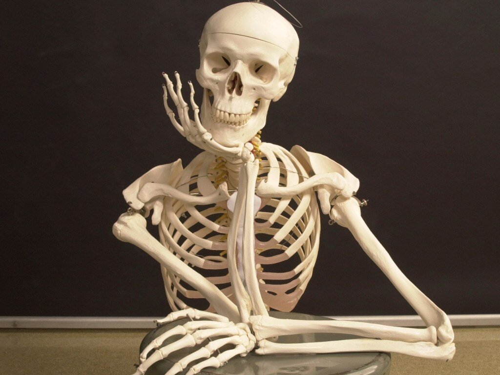 Картинка со скелетом мем