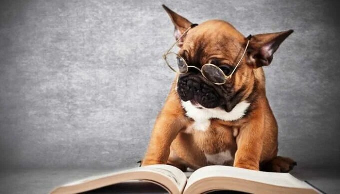 Этологами стали зоологи, которых больше всего интересовало развитие поведения, адаптации, то, в какой степени они обусловлены наследственностью. Этология в значительной мере повлияла на развитие психологии поведения животных как науки. Она обратила внимание зоопсихологов на роль наследственности. В итоге две эти науки сблизились, и процесс этот продолжается. Для достижения полного понимания психологии поведения человека и животного необходимо пользоваться достижениями обеих этих дисциплин.