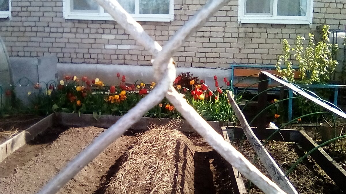 Огороды на Гагарина