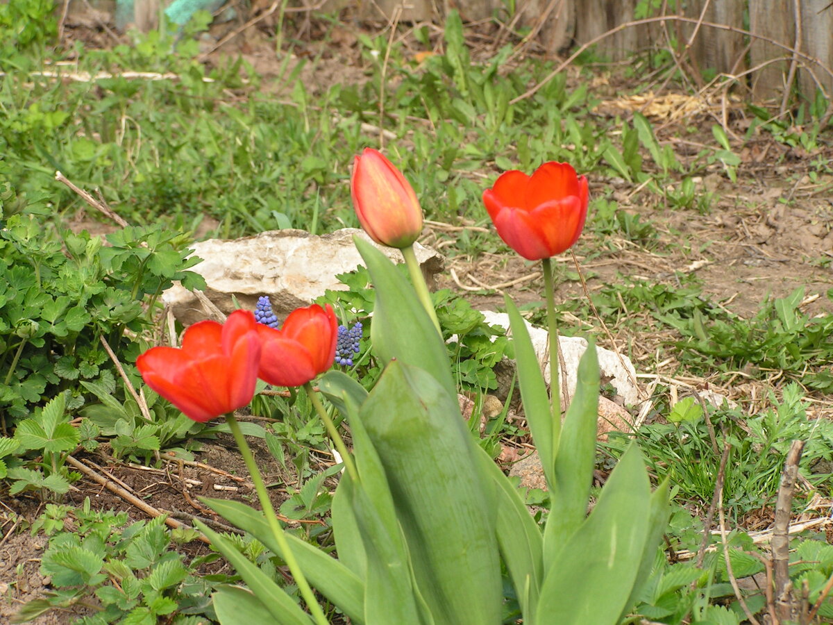 фото из архива автора